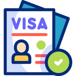 Expedited E-Visa