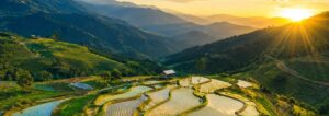 Terraced rice fields in Lai Chau, Vietnam, glowing at sunrise with mountain views